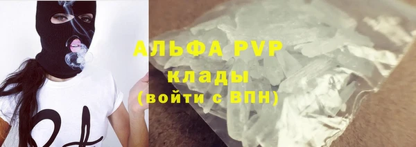 индика Струнино