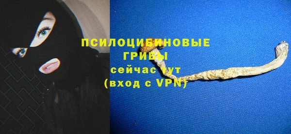 a pvp Аркадак