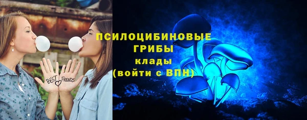 PSILOCYBIN Арсеньев