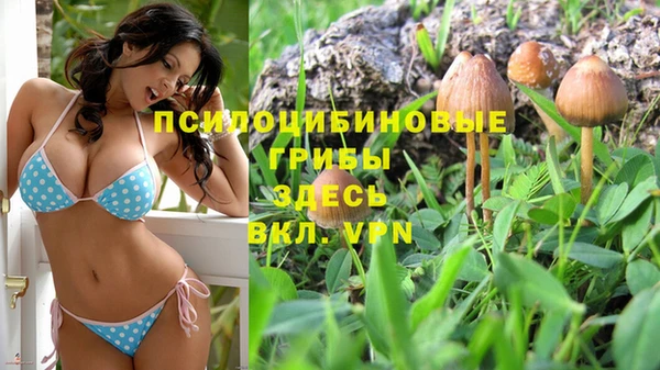 a pvp Аркадак