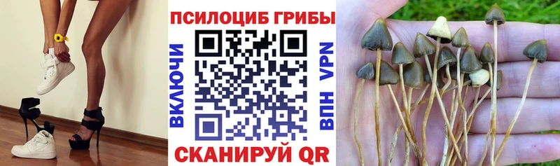 Галлюциногенные грибы Cubensis Спас-Деменск